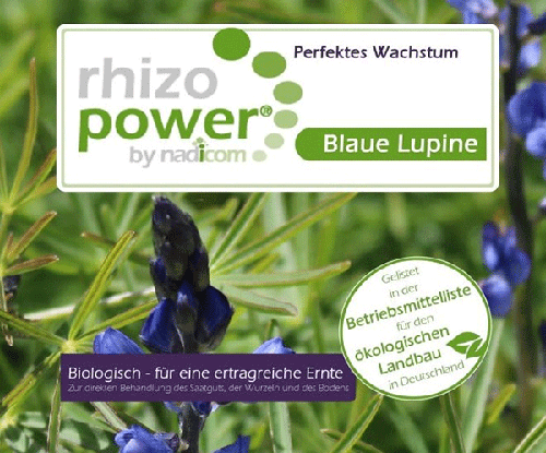 rhizo power® Blaue Lupine